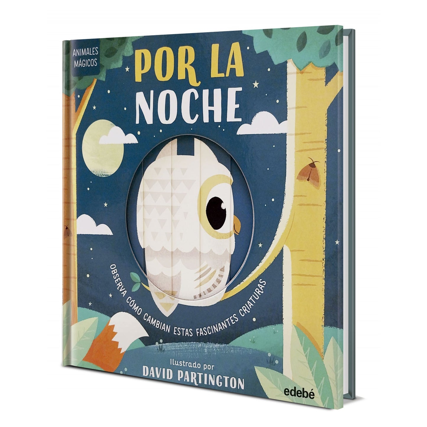 LIBRO INFANTIL INTERACTIVO - POR LA NOCHE - Happy Moments Baby