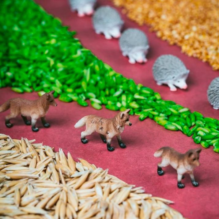 BOTELLA SENSORIAL PETIT BOUM ·FOREST· - Happy Moments Baby