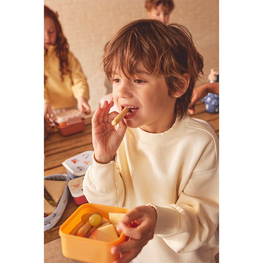 3 FIAMBRERAS CAJITAS ALMUERZO TUTETE ·THREE LITTLE PIGS· - Happy Moments Baby