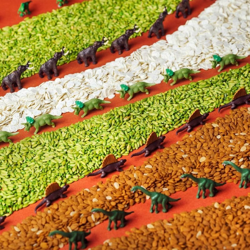 BOTELLA SENSORIAL PETIT BOUM ·JURASSIC· - Happy Moments Baby