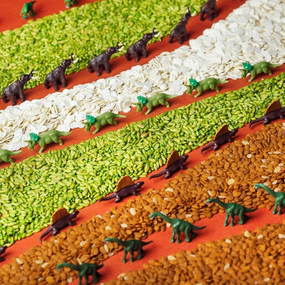 BOTELLA SENSORIAL PETIT BOUM ·JURASSIC· - Happy Moments Baby