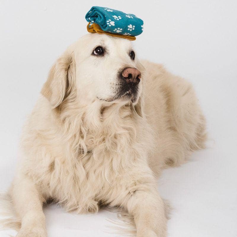 CALCETINES UO ·PADRE DE MASCOTAS· - Happy Moments Baby