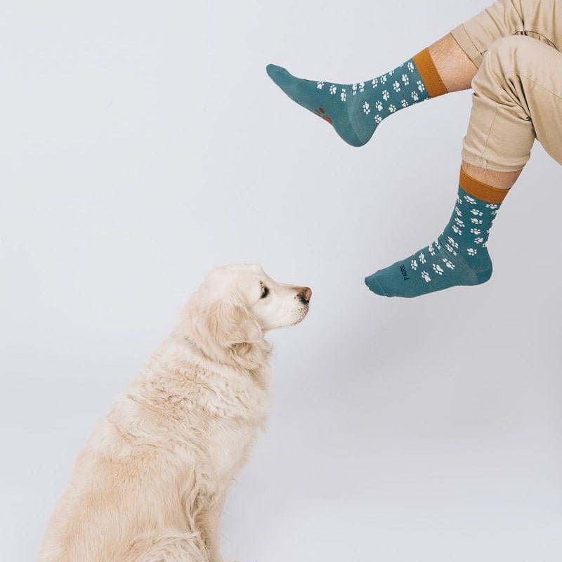 CALCETINES UO ·PADRE DE MASCOTAS· - Happy Moments Baby