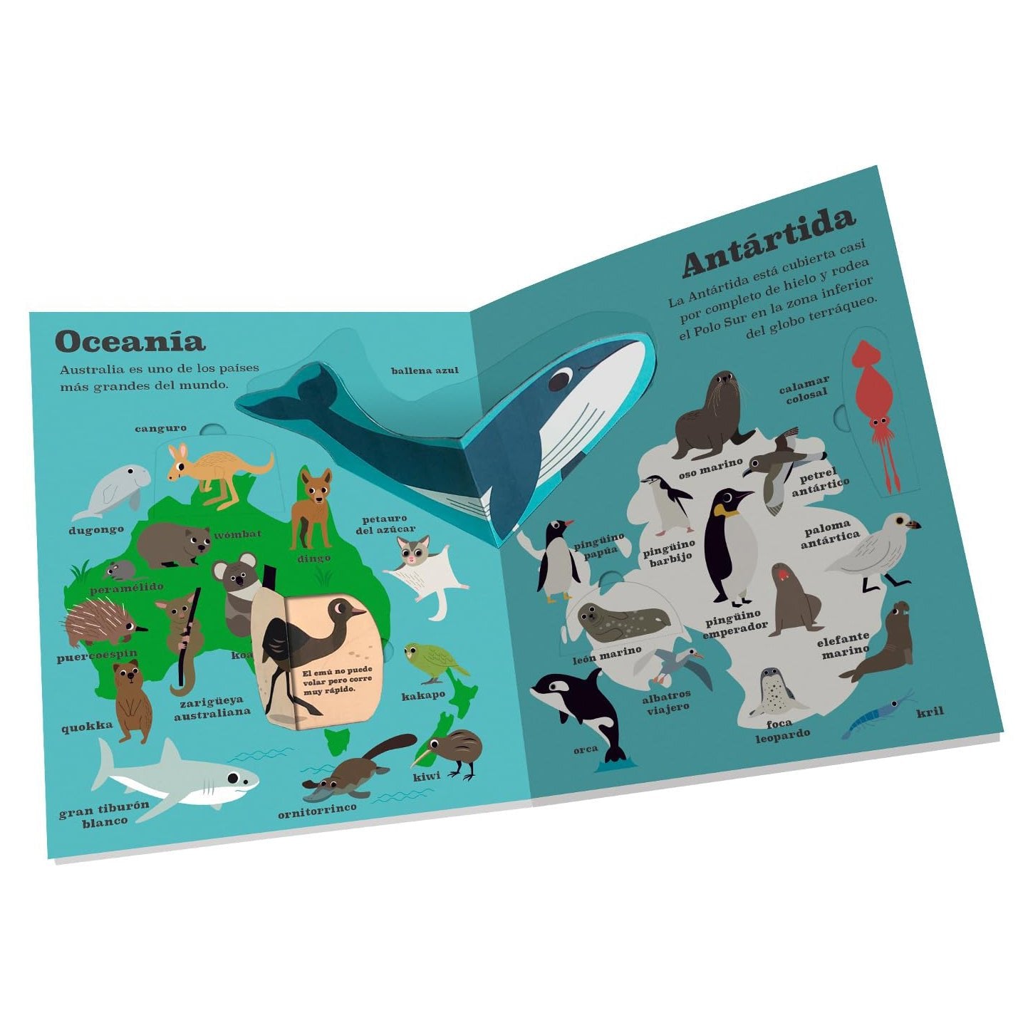 LIBRO INFANTIL - ATLAS DE ANIMALES - Happy Moments Baby