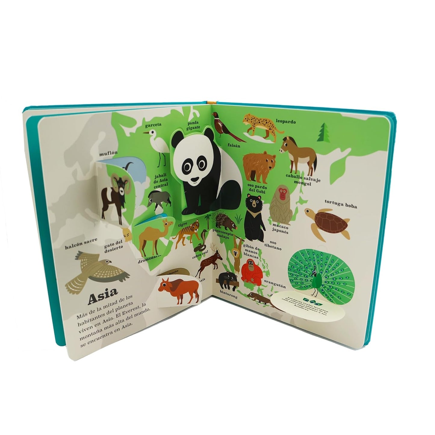 LIBRO INFANTIL - ATLAS DE ANIMALES - Happy Moments Baby