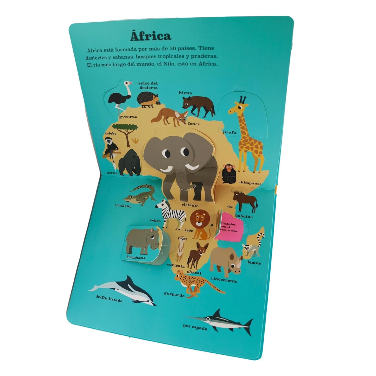 LIBRO INFANTIL - ATLAS DE ANIMALES - Happy Moments Baby
