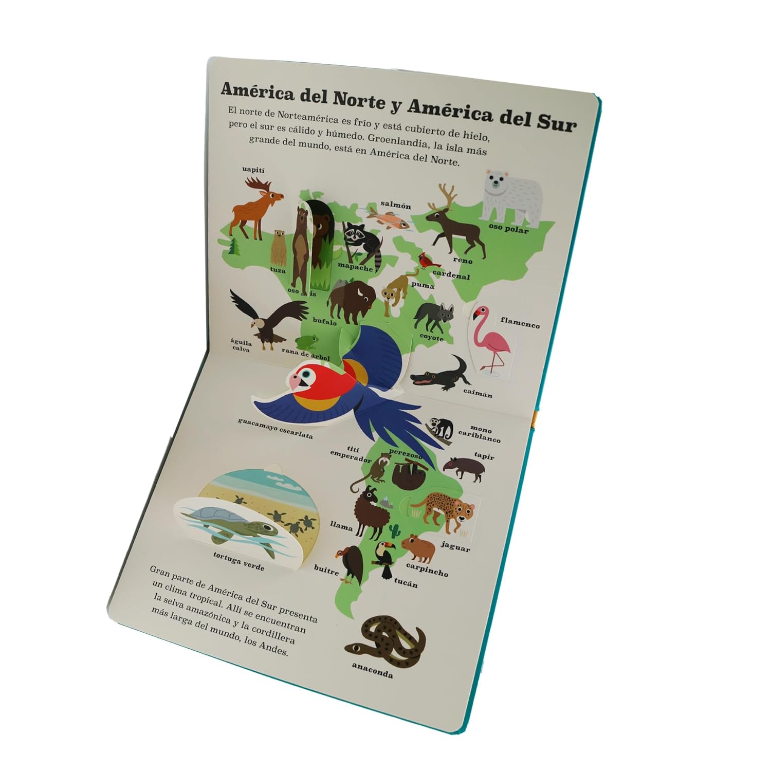 LIBRO INFANTIL - ATLAS DE ANIMALES - Happy Moments Baby