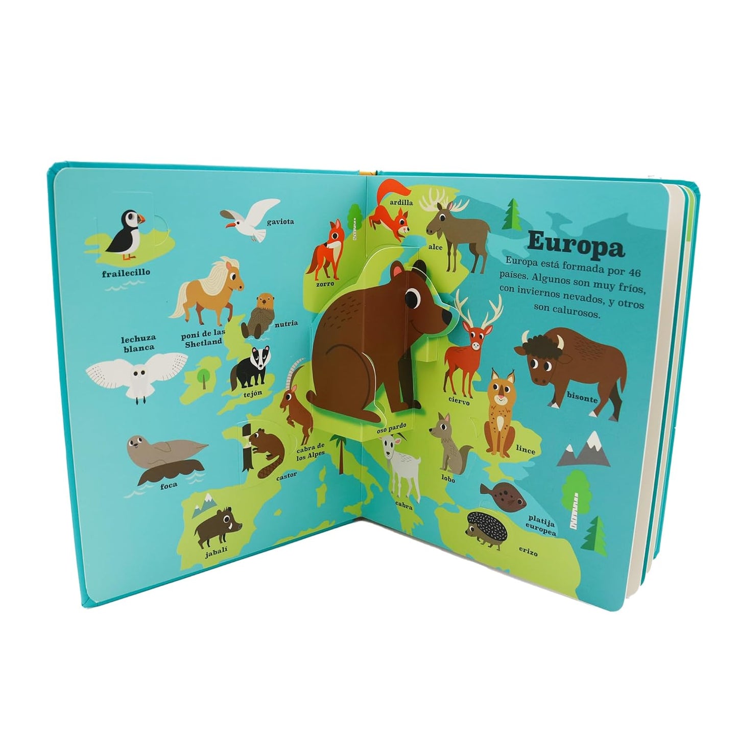 LIBRO INFANTIL - ATLAS DE ANIMALES - Happy Moments Baby