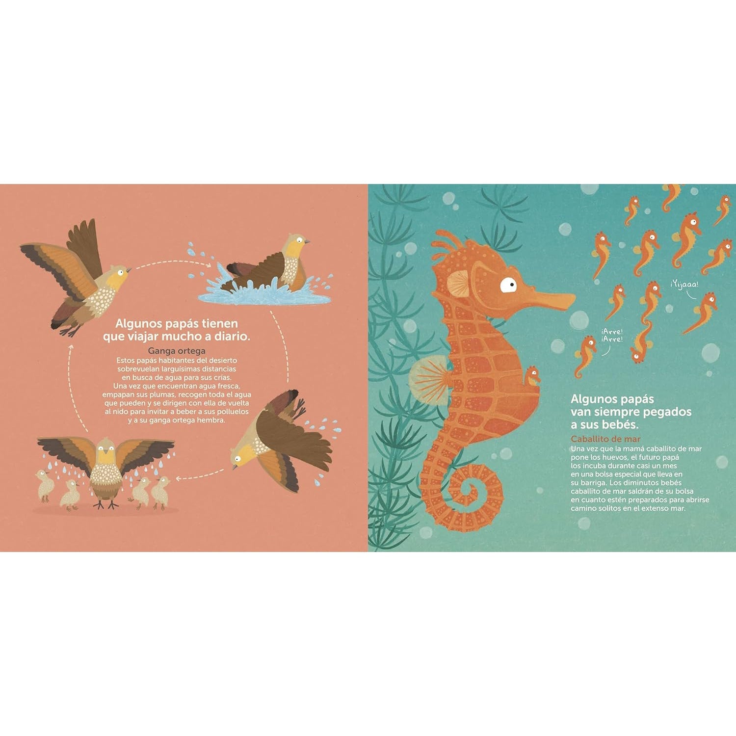 LIBRO INFANTIL - SUPERPAPÁS - Happy Moments Baby