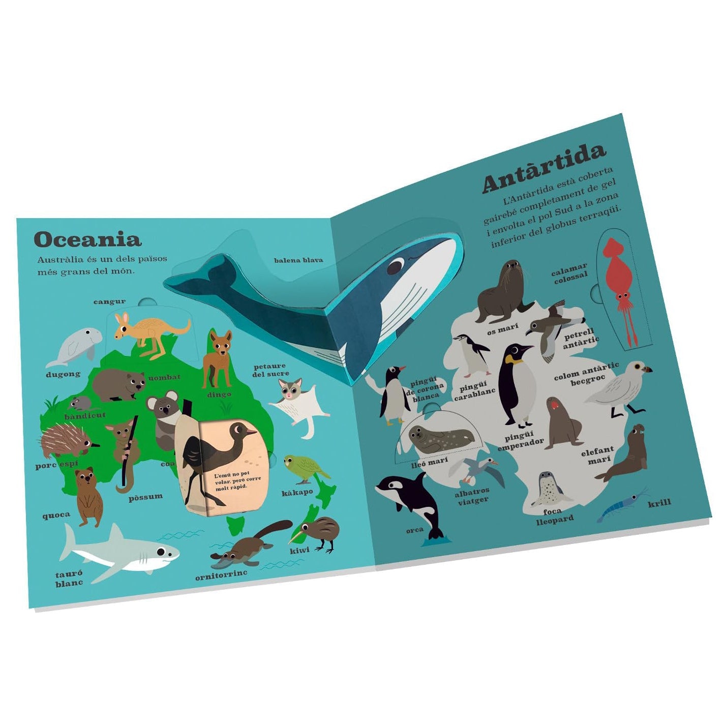 LLIBRE INFANTIL - ATLES D'ANIMALS - Happy Moments Baby