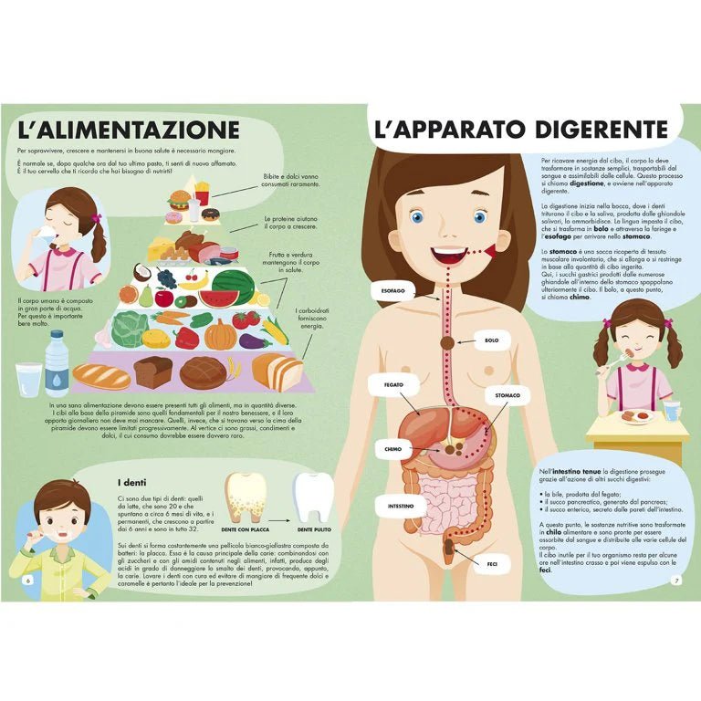 PUZZLE + LIBRO ·TODO SOBRE EL CUERPO HUMANO· - Happy Moments Baby