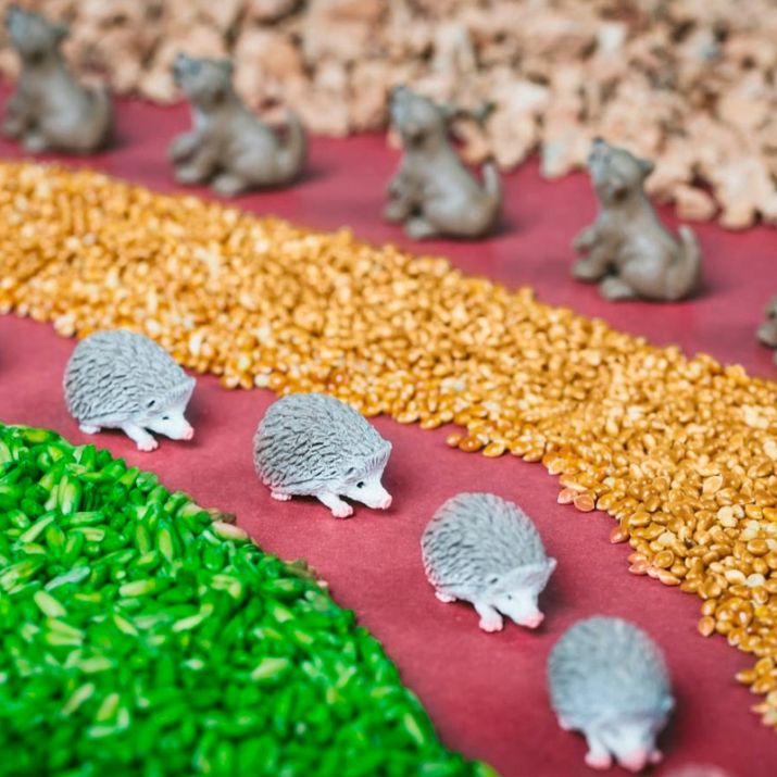 BOTELLA SENSORIAL PETIT BOUM ·FOREST· - Happy Moments Baby