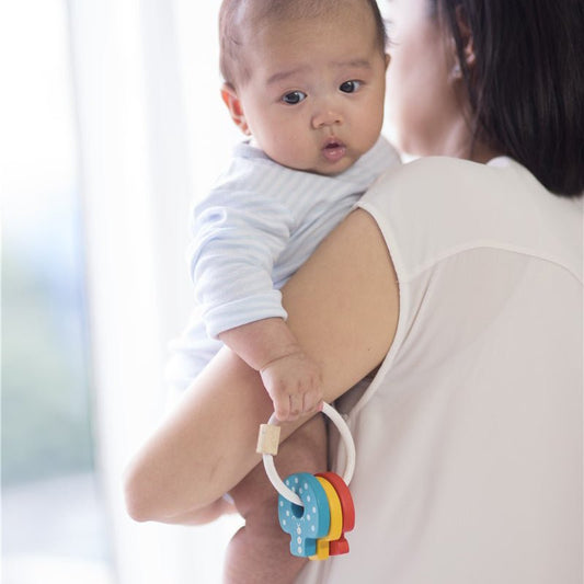 JUGUETE DE MADERA PLAN TOYS ·SONAJERO LLAVES· - Happy Moments Baby