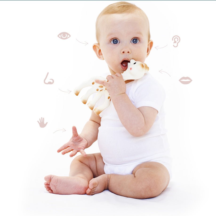MORDEDOR ·SOPHIE LA GIRAFE· - Happy Moments Baby