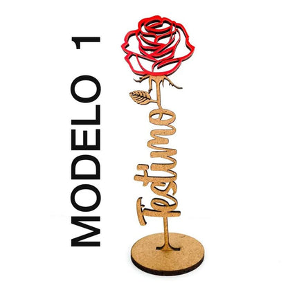 ROSA SANT JORDI ·CATALÀ· - Happy Moments Baby